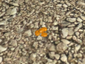 Thumbnail for version as of 01:56, 8 December 2023