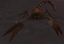 A Scorpion