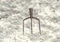 Thumbnail for version as of 08:16, 29 May 2021
