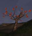Thumbnail for version as of 23:51, 16 October 2019