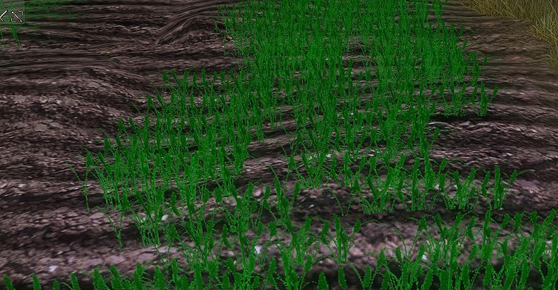 File:Field.jpg