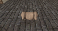 Bedroll.png