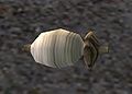 A Fishing line (fine)