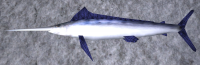 A Marlin