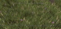 Thumbnail for version as of 12:46, 23 May 2014