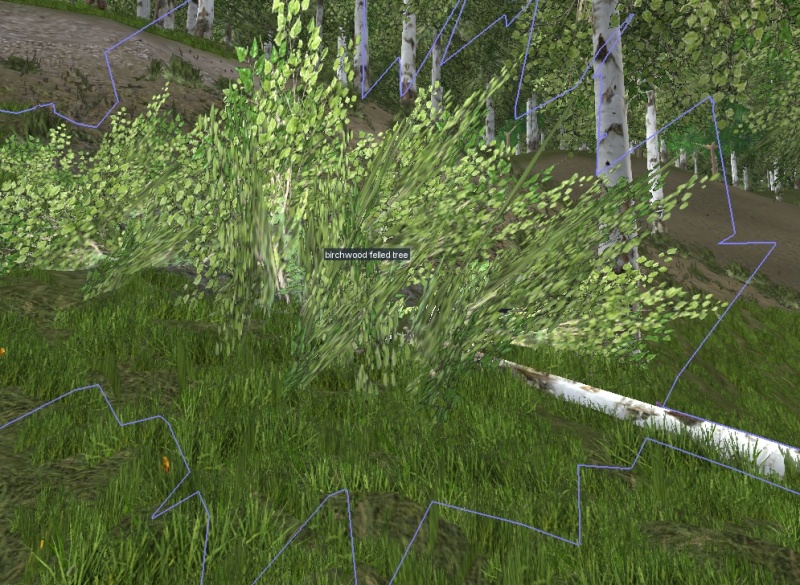 File:Felled Tree.jpg