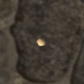 Thumbnail for version as of 23:49, 28 December 2018