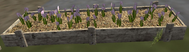 File:Purple flowerbed.jpg
