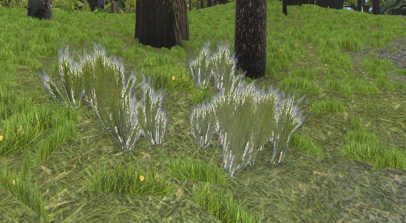 File:Wild grasses.jpg