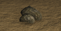 A Monster camp