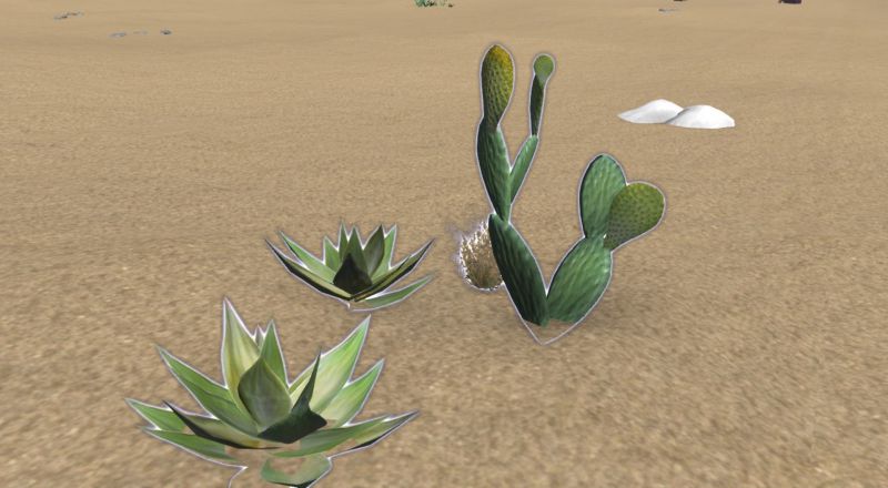 File:Desert weeds.jpg