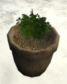 Thumbnail for version as of 03:24, 4 February 2017