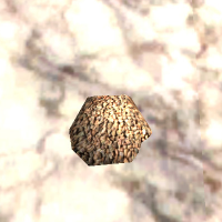 A Cocoa bean