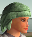 Thumbnail for version as of 23:14, 4 March 2021