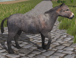 A Mule