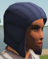 Thumbnail for version as of 23:08, 4 March 2021