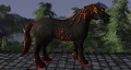 Ash Hell Horse.jpg