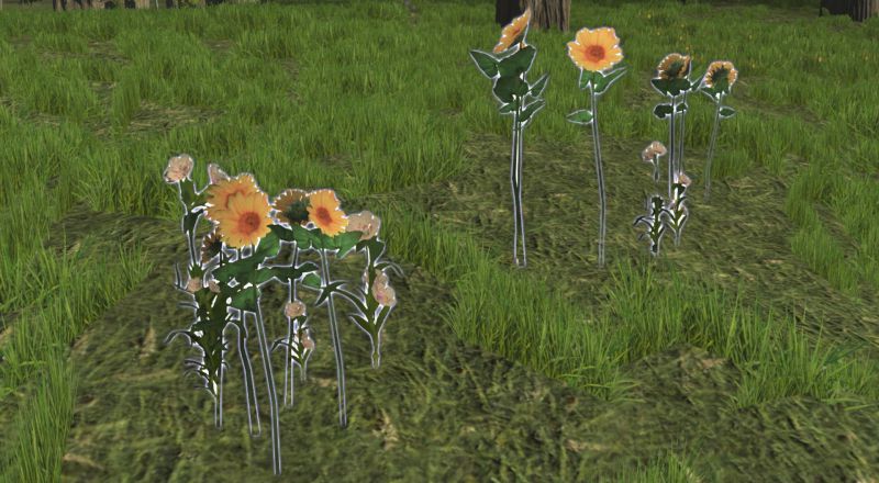 File:Wildflowers.jpg