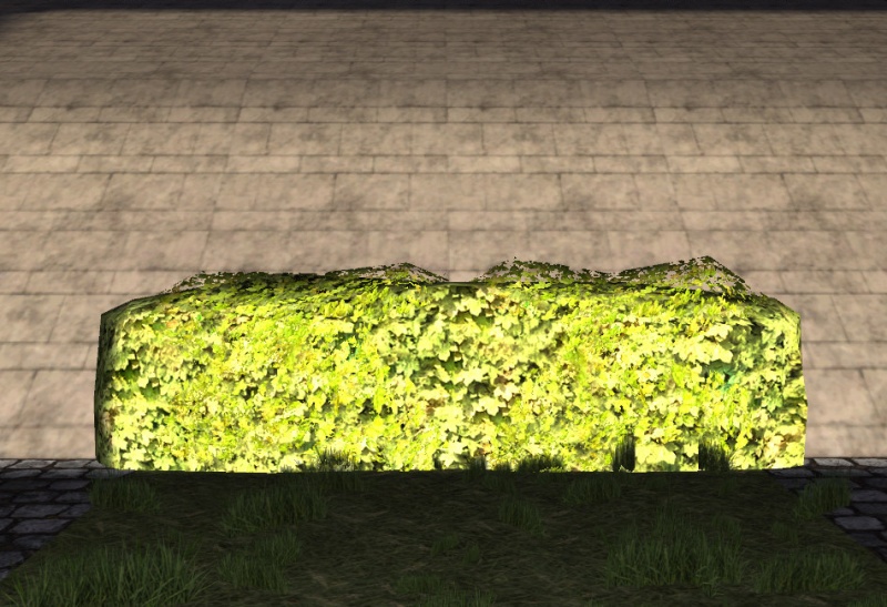File:Medium maple hedge.jpg