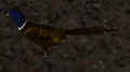 Thumbnail for version as of 22:24, 21 May 2006