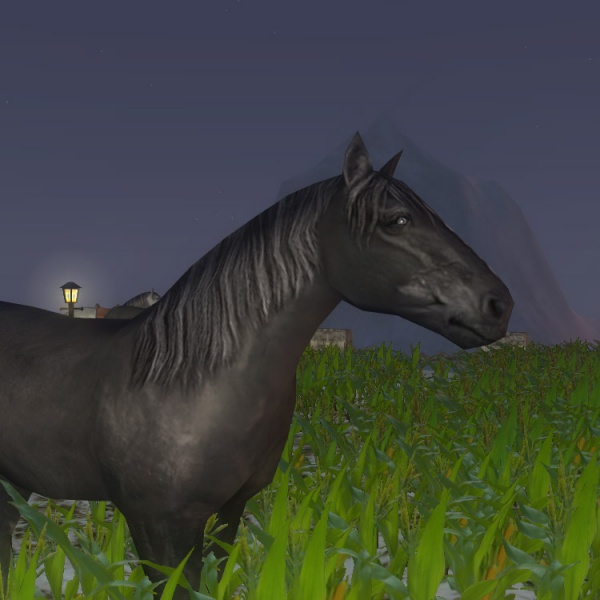 File:Main animals.jpg