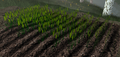 Thumbnail for version as of 15:00, 12 January 2010