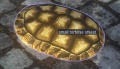 A Small tortoise shield