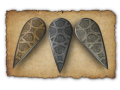 Thumbnail for version as of 23:16, 4 March 2021