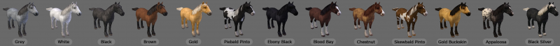 Horse colours, image provided by Malena