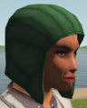 Thumbnail for version as of 23:14, 4 March 2021
