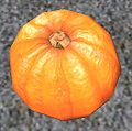 A Pumpkin