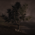 Thumbnail for version as of 01:49, 17 October 2019