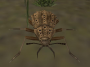 A Cave bug