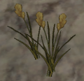 Pile of reed plants.png