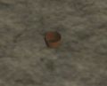 Thumbnail for version as of 16:35, 30 October 2021