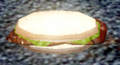 A Endurance sandwich